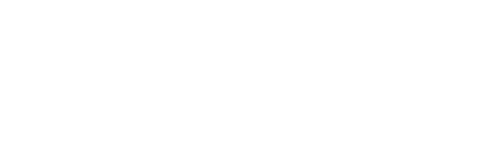 DinamiX
